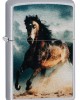 200 CI412373 WILD STALLION DESIGN