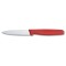 Paring Knife 8 cm 