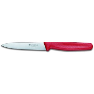 Paring Knife 10 cm 